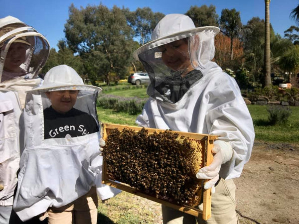 Eco Green Spirit Farm update, Bee Keeping and a Giveaway!