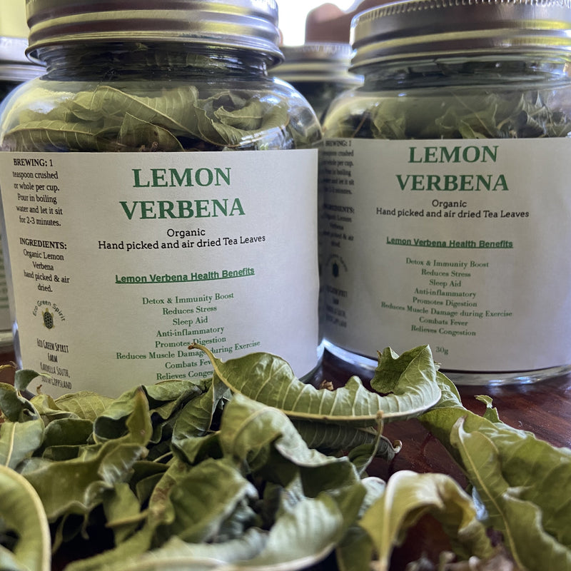 Lemon Verbena Organic Tea
