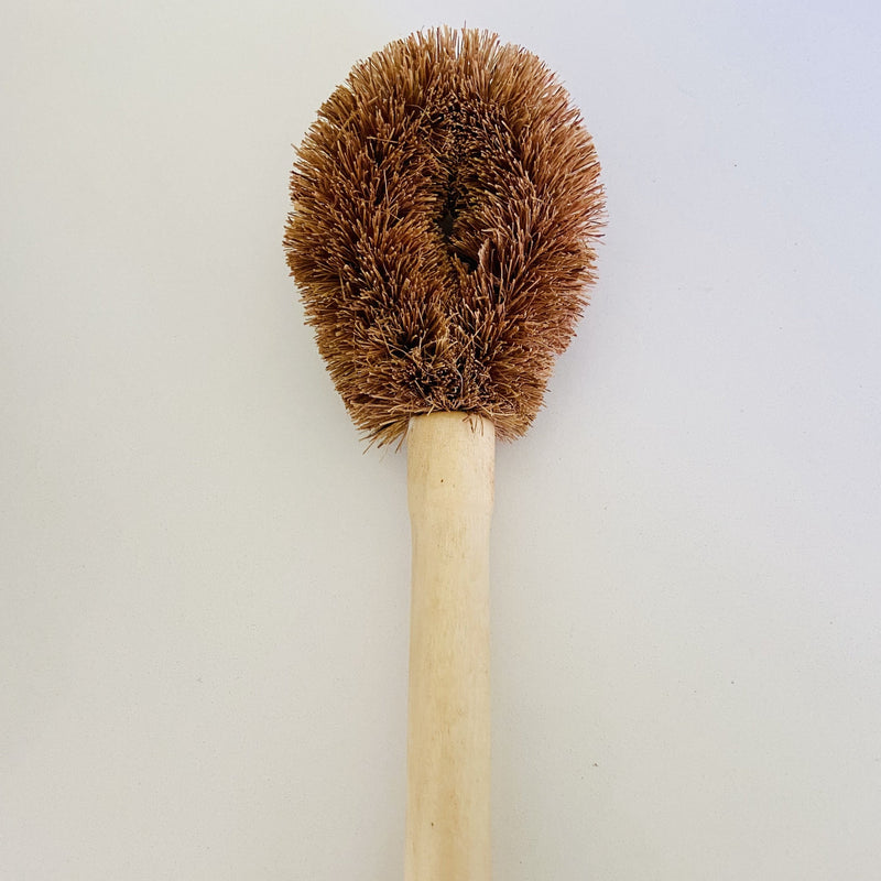 Coconut Fibre Brush