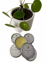 Natural Antiseptic Balm 50g