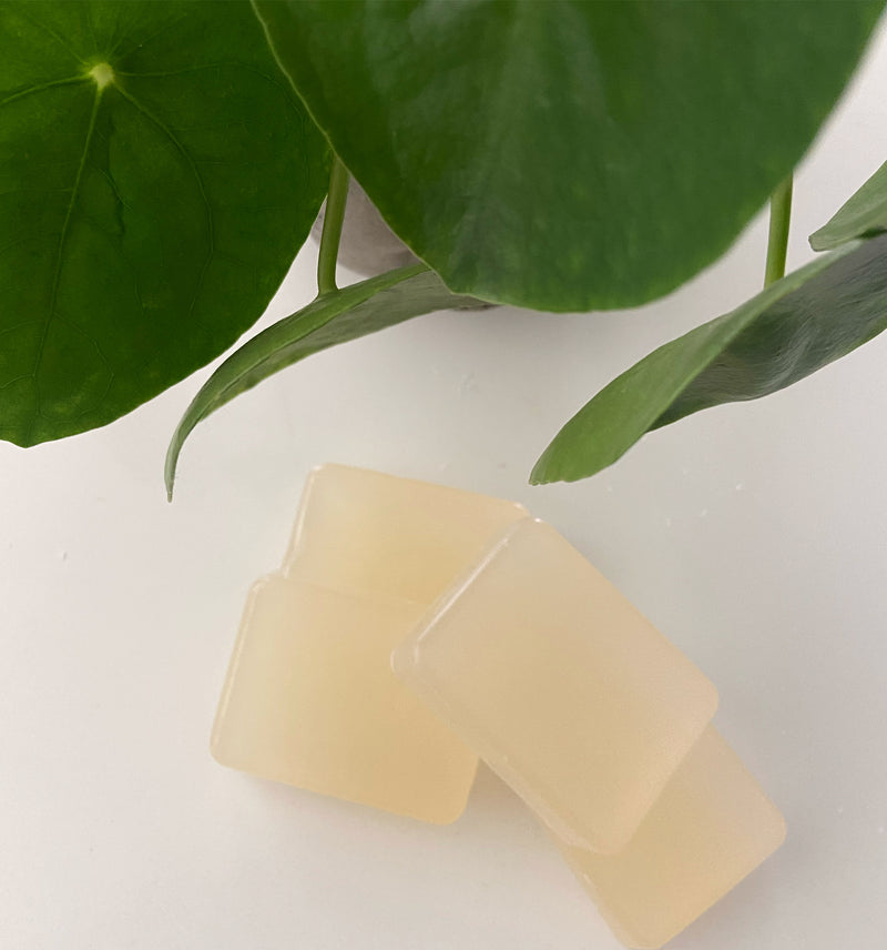 Hemp Seed Oil Soap Bar