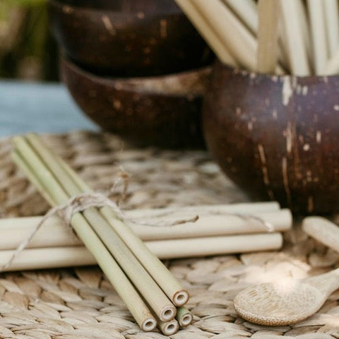 Bamboo Straws (8 pack)