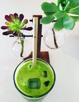 Bamboo Straws (8 pack)
